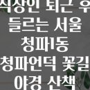 직장인 퇴근 후 들르는 서울 청파1동 청파언덕 꽃길 야경 산책