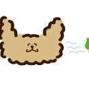 품속동물병원 이미지