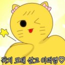 멍샤워 이미지