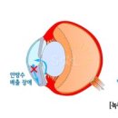 지 동물병원 이미지