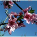 까치울역 2번 출구 이미지