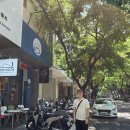 성진카랜드 | 다낭 여행 일기