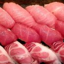 참치&초밥