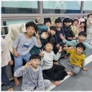 하나태권도전문도장 네이버블로그