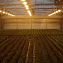 아침농장 이미지