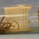 아포동물약국 이미지