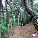 남산힐링쉼터