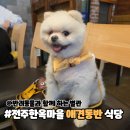전주밥상 | 전주 한옥마을 애견동반 식당 태조밥상 솔직후기