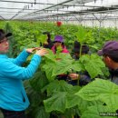 연동2농장 이미지