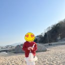 리리하우스