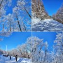 함백산 할매민박 이미지