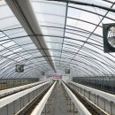 화도농장 이미지