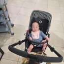 세븐동물병원 | 아기랑 부산여행 1일차｜요트체험부터 낙상·중이염까지 현실육아 여행기 (광안리 코스 총정리)