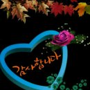 참이슬길 이미지