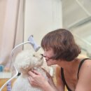 강아지랑나랑 이미지