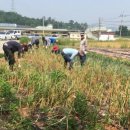 미암면사무소 이미지