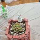 힐링원예 가드닝 이미지