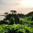 진도군 기록관 이미지