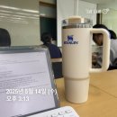 정신없는 5월