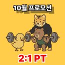 블러썸PT 이미지