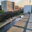 종달차경(메리골드) 이미지