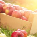 후레쉬팩토리 이미지