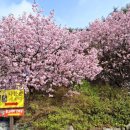 각원사길 이미지