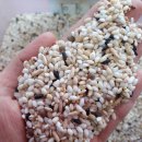 여주쌀상회 이미지