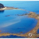 신비한먹거리 이미지