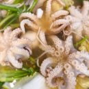 싱싱회관 이미지