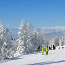 뉴프린스관광호텔 이미지