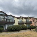 솔라티펜션 이미지