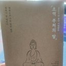 원영출판사 | 장원영 책 추천 ‘초역 부처의 말’ 리뷰 후기 명언 줄거리 내용 원영적사고 럭키비키 정보 총정리