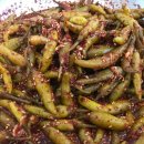 제주일상 이미지