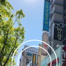 시지바름플란트치과의원 네이버블로그