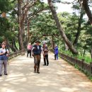 의림지-02 이미지