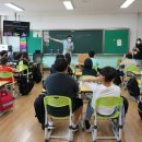 죽향초 이미지