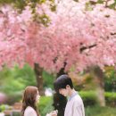 소화