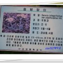 산외중학교 이미지