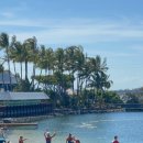 씨월드관광호텔 | 호주🇦🇺 194일차(1)| 평언니랑 골드코스트 씨월드(Sea World) 나들이, 피쉬앤칩스, 브런치카페, 씨월드