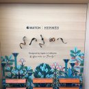 비지터센터 이미지