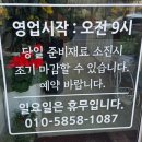 일산망개떡