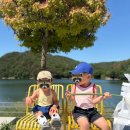 꽃밭에는꽃들이 | 꽃밭에는 꽃들이 모오여 살구요🌼 | 데이지 꽃이 예쁜 카페 바실라 아이들과 방문 후기