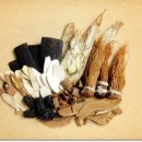 송정한의원 이미지