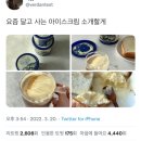 십 노 사 이미지