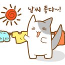 따봉맥주 이미지