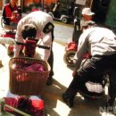 가나의료기 이미지