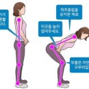 힌지