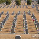 고충민원행정사 이미지