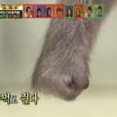 기획전시 「한·중수교 기념30주년 기념 사진전」 | *마리끌레르 사진전:Beyond Fashion* 후기
